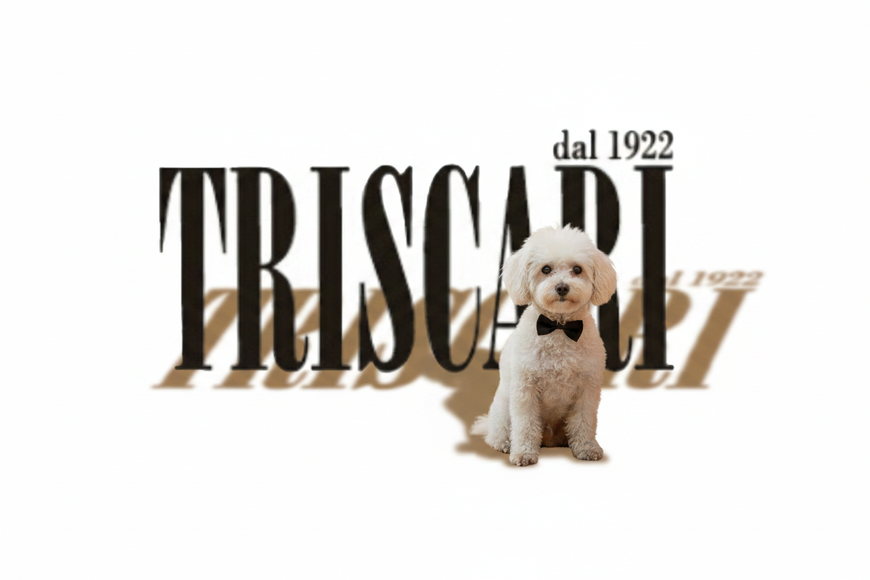Triscari Logo Luce Frontale