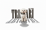 Triscari 1922 – Home